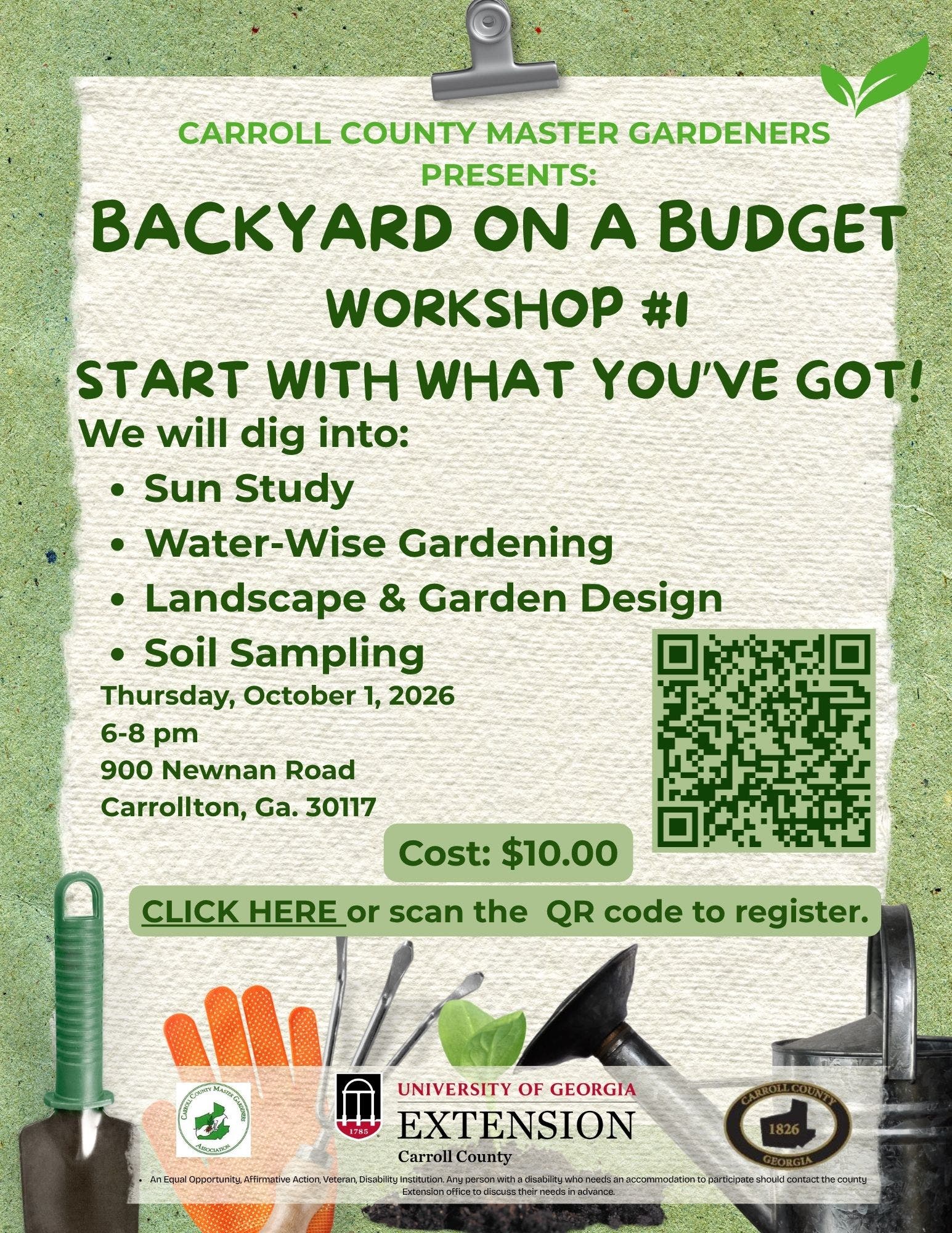 Back Yard on a Budget