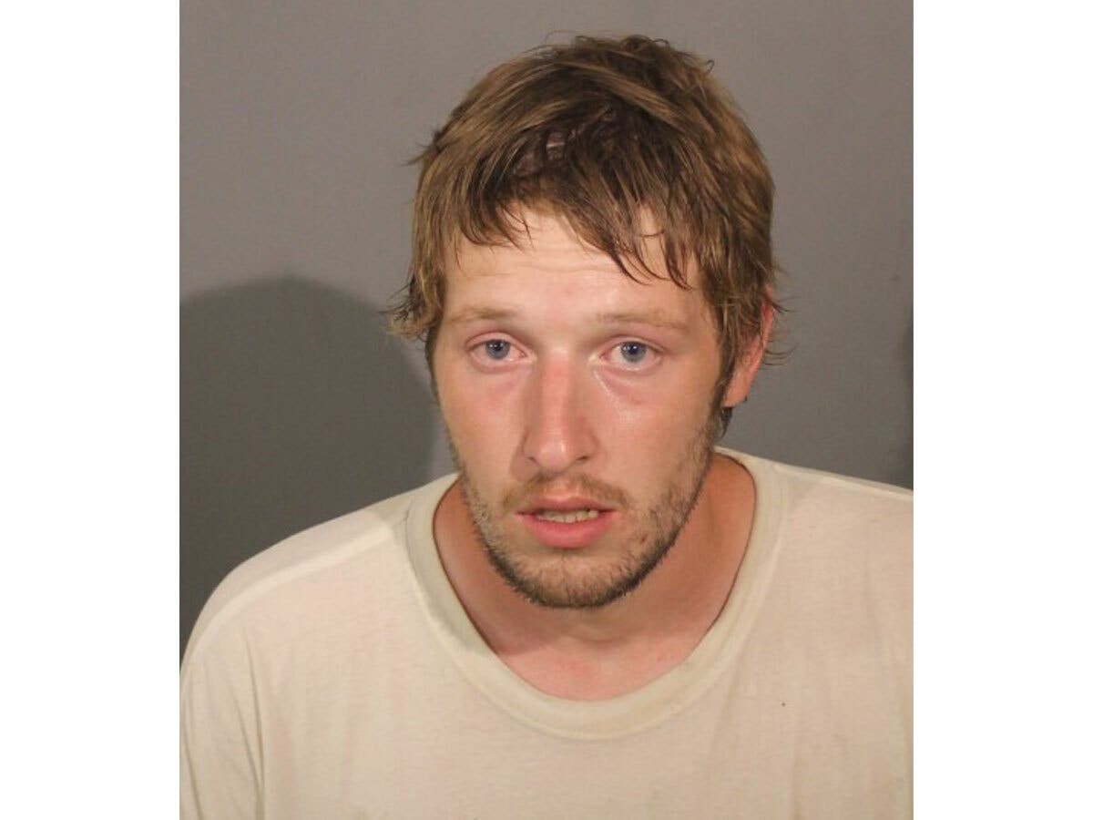 Danbury police arrested Randi Shook following a Tuesday crash that toppled multiple utility poles near Triangle Street and Starr Road, according to authorities.