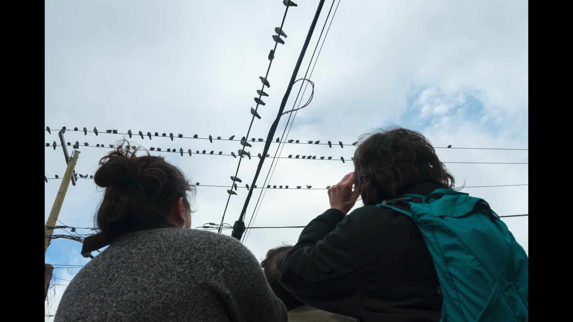 Manhattan Pigeon Tour - Saturday, May 2nd