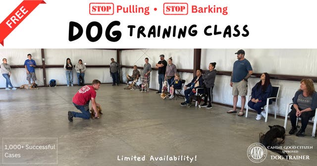 Free Dog Training Class