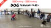 Free Dog Training Class