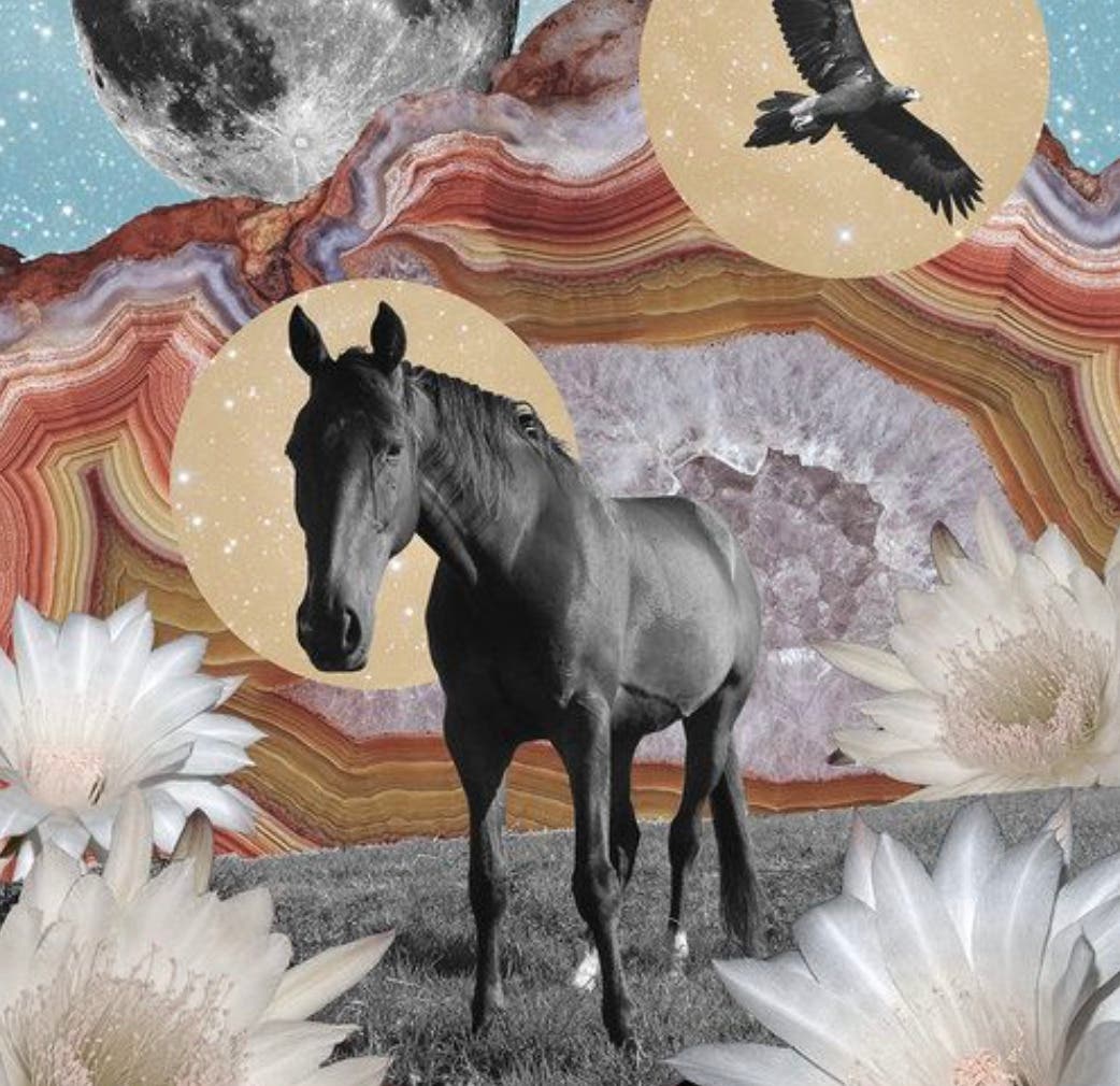 SPIRIT ANIMAL: Connect and Create Your Totem
