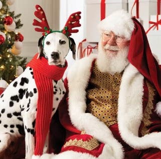 Pet Photos with Santa at The Mall at Rockingham Park 