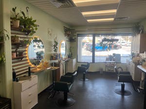 Evergreen Organic Studio
