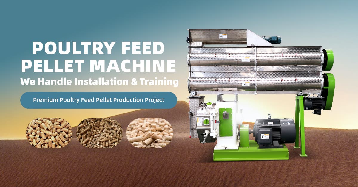 Chicken Feed Pellet Making Machine: Improving Efficiency in Poultry Feed Production