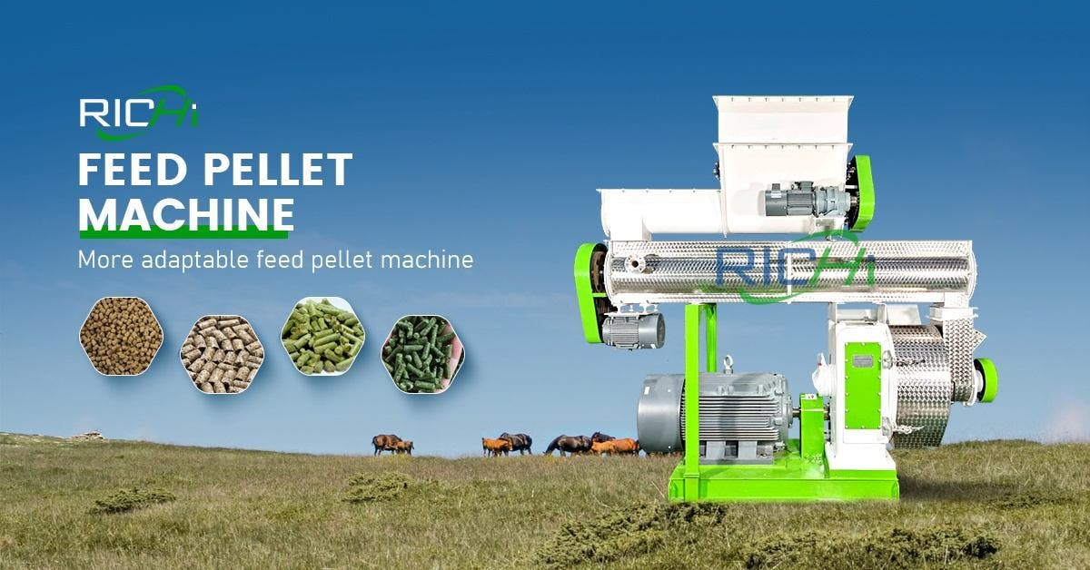 Cattle Feed Pellet Machine: Engineering Nutrition for Maximum Herd Performance