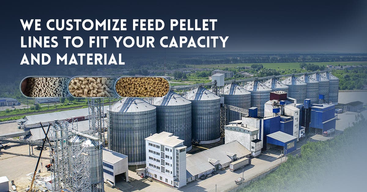 Compact Poultry Feed Production Line for Efficient Feed Manufacturing