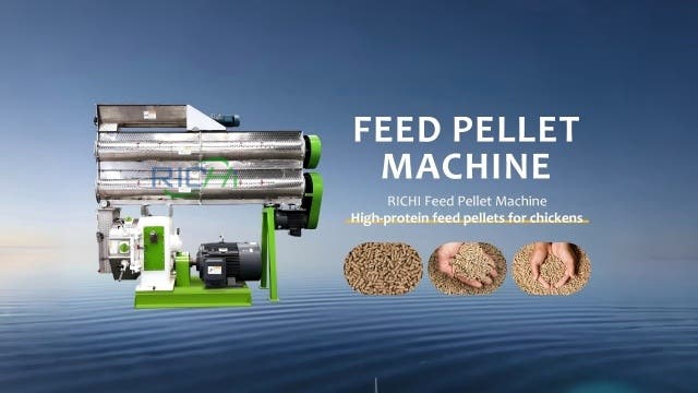 Animal Feed Pellet Making Machine for Efficient Feed Production