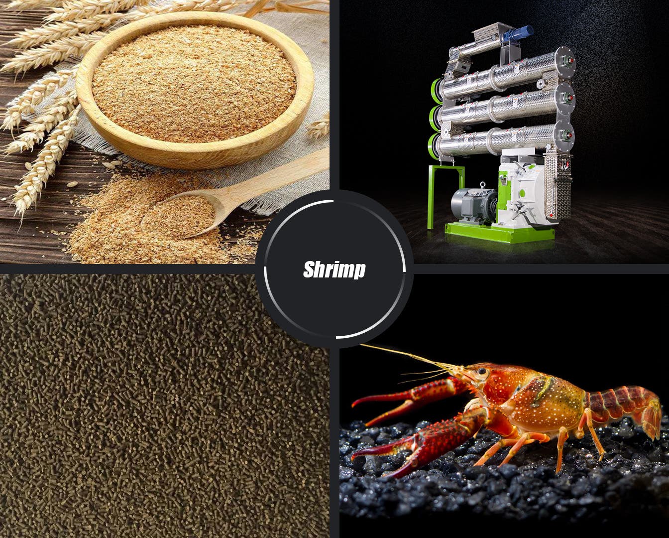 Shrimp Feed Making Machine for Efficient Aquaculture Feed Production