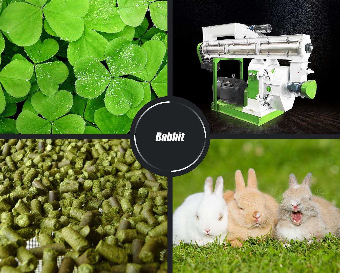 Rabbit Feed Pellet Making Machine: A Practical Solution for Efficient Feed Production