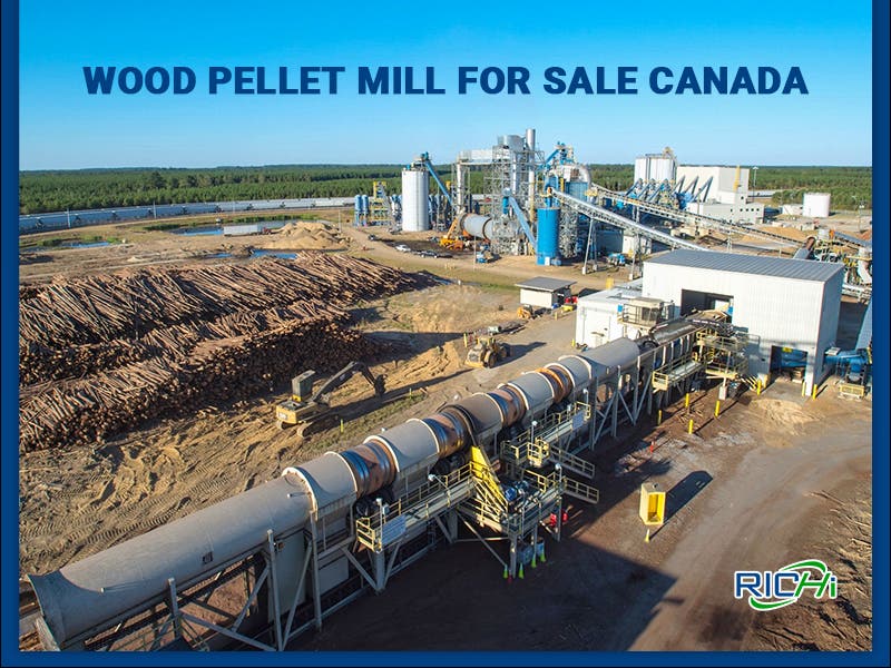 Wood Sawdust Pellet Production for Renewable Energy