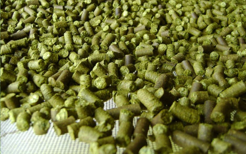 How Alfalfa Pellets Improve Goat Farming