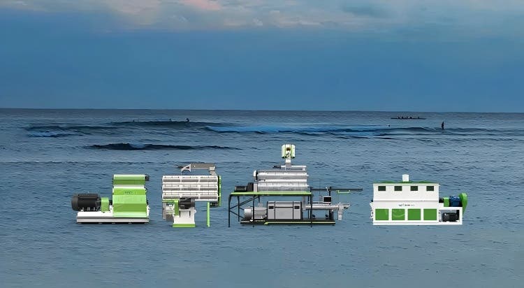 Complete Equipment for Sinking Fish Feed Production