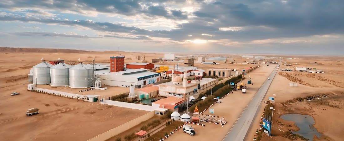 Poultry Feed Plant Price: How to Plan Your Investment Wisely