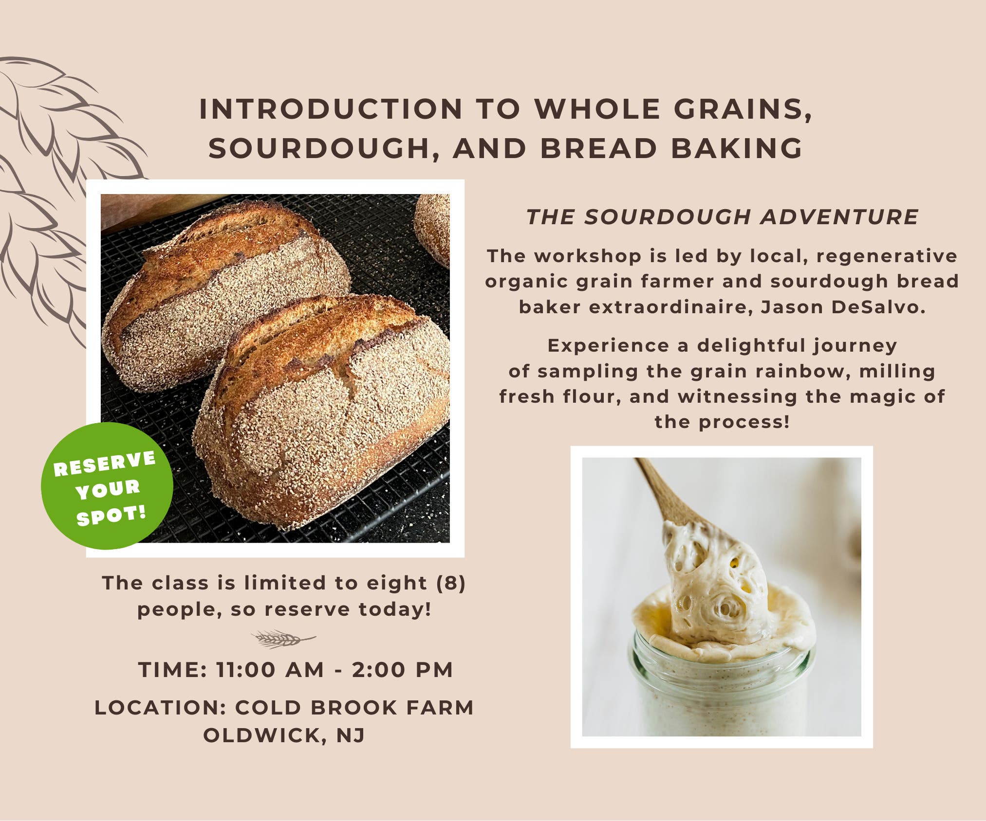 Introduction to Whole Grains, Sourdough, and Breadbaking
