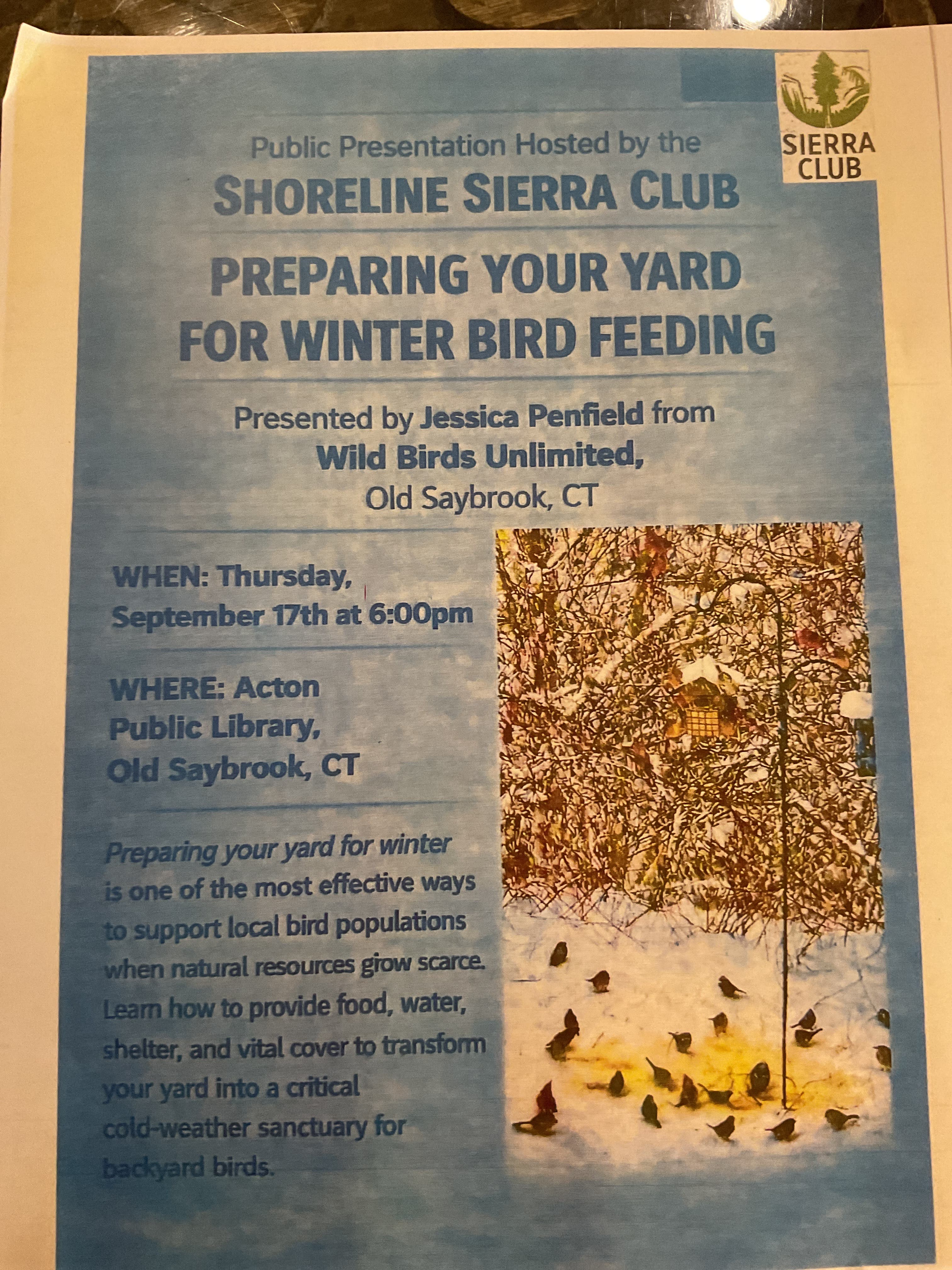 Preparing Your Yard For Winter Bird Feeding