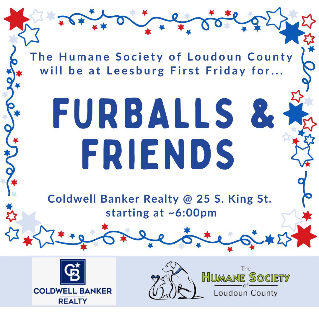 First Friday Mini-Adoption Event