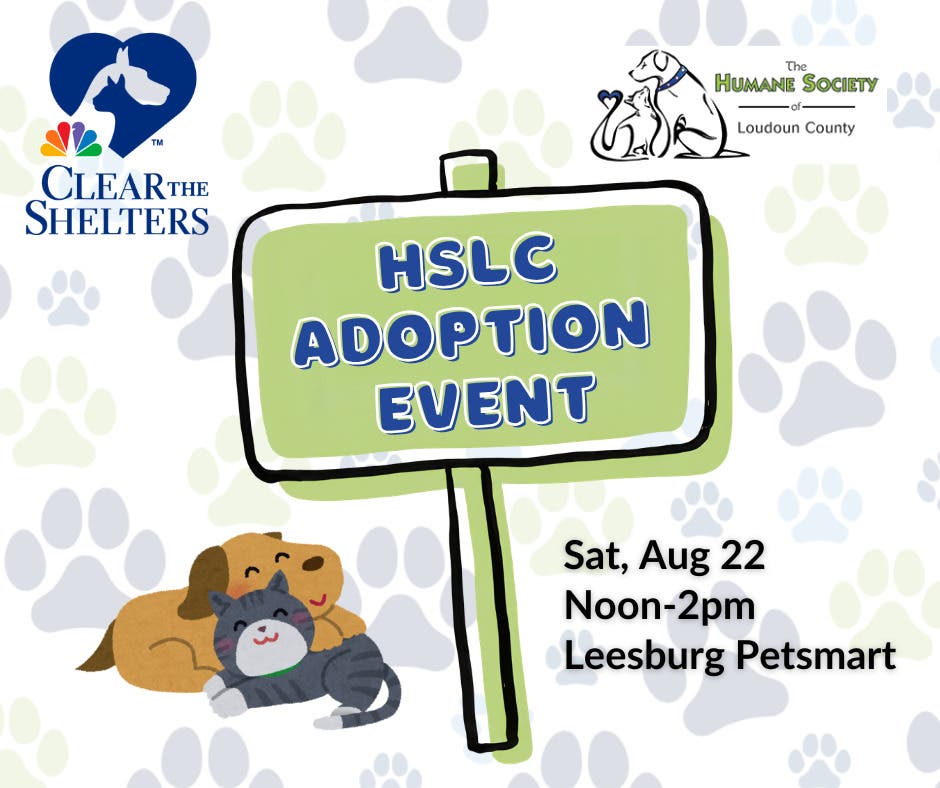 HSLC Adoption Event – Fees Waived!