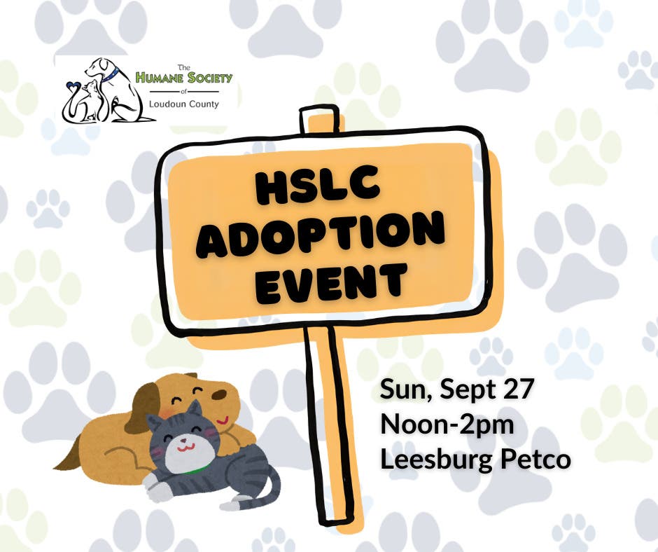 HSLC Adoption Event