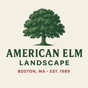 American Elm Landscape