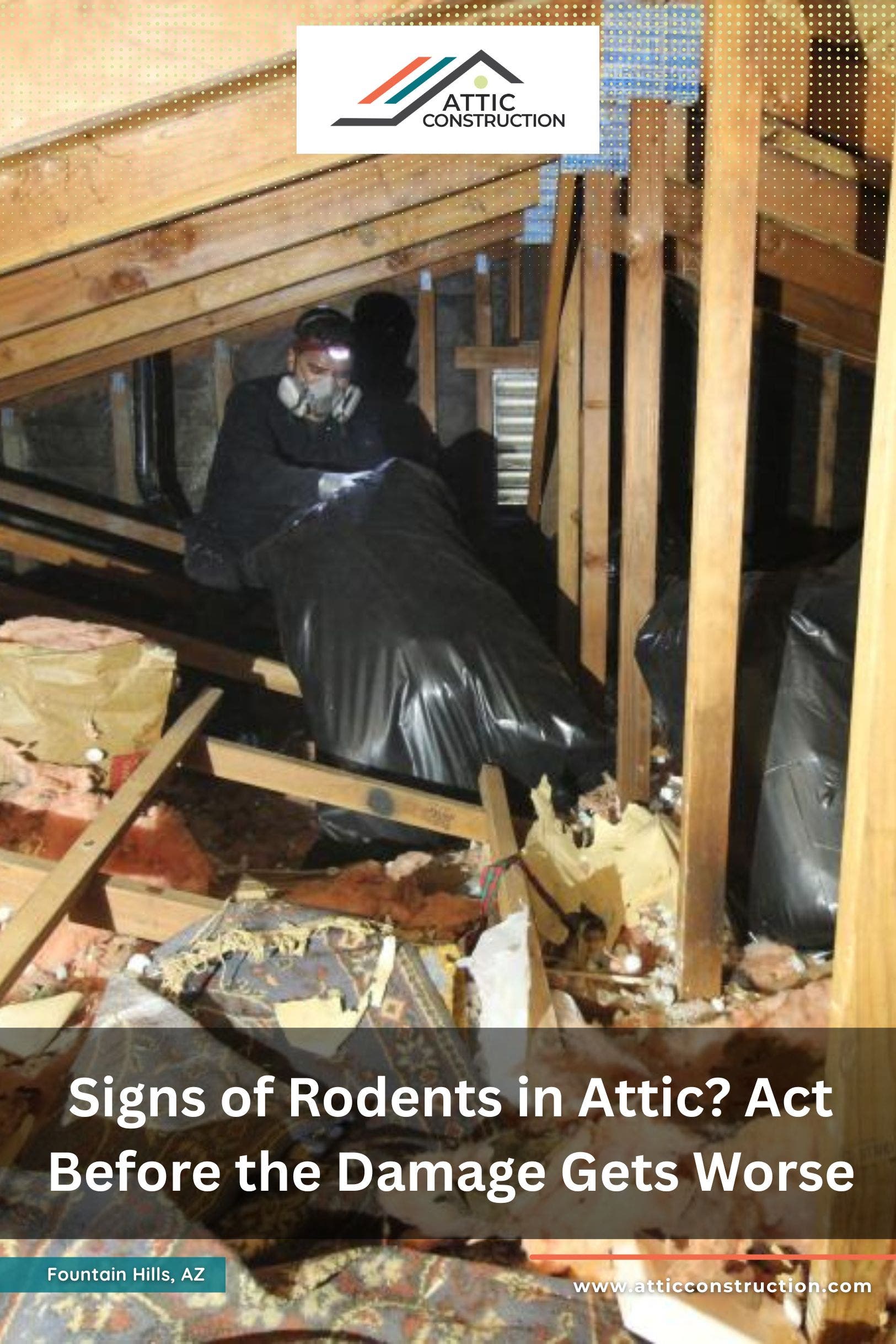 Signs of Rodents in Attic? Act Before the Damage Gets Worse