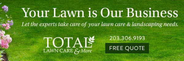 Total Lawn Care & More