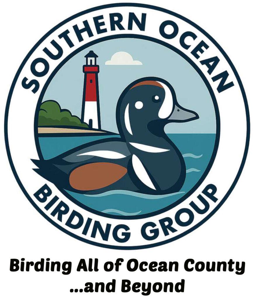 Southern Ocean Birding Group Meeting - Terns of the Mid-Atlantic Region