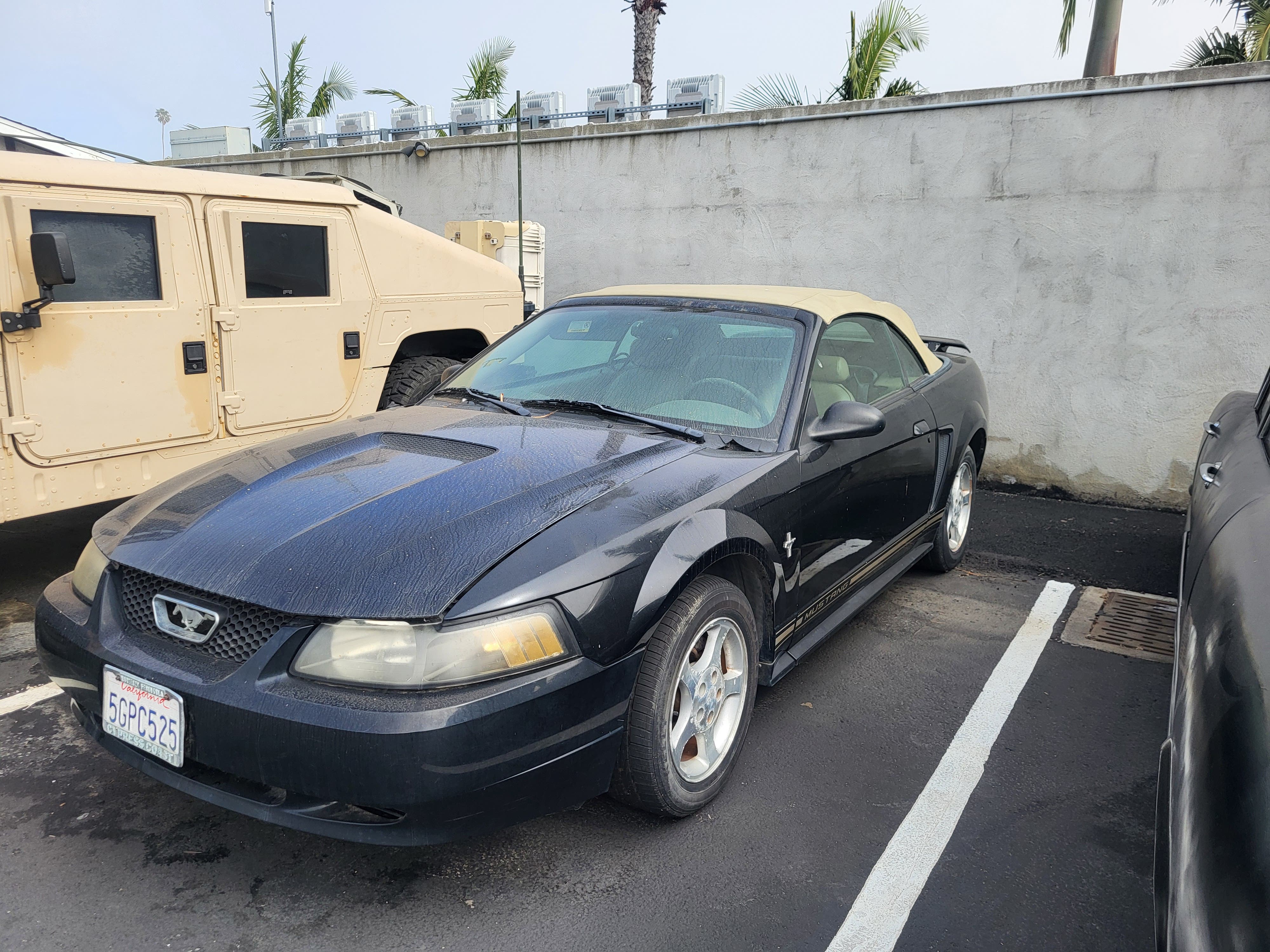 2001 Ford Mustang Convertible