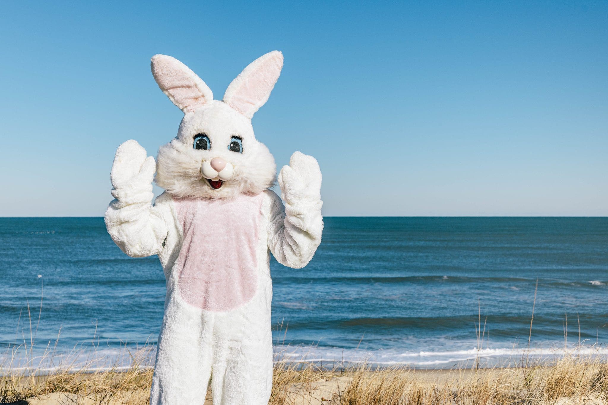 Booking Offer: Easter Weekend at The Sanderling Resort