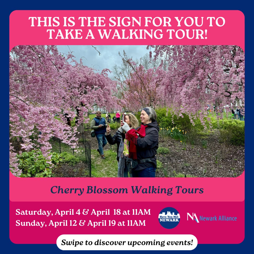 Cherry Blossom Walking Tour
