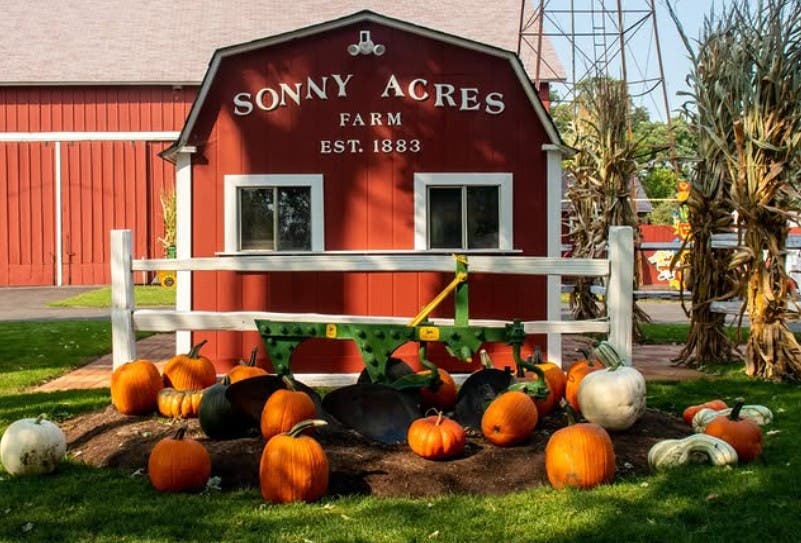 Sonny Acres Farm Announces Return of Iconic All-ages Fall Festival September 19 Through October 30