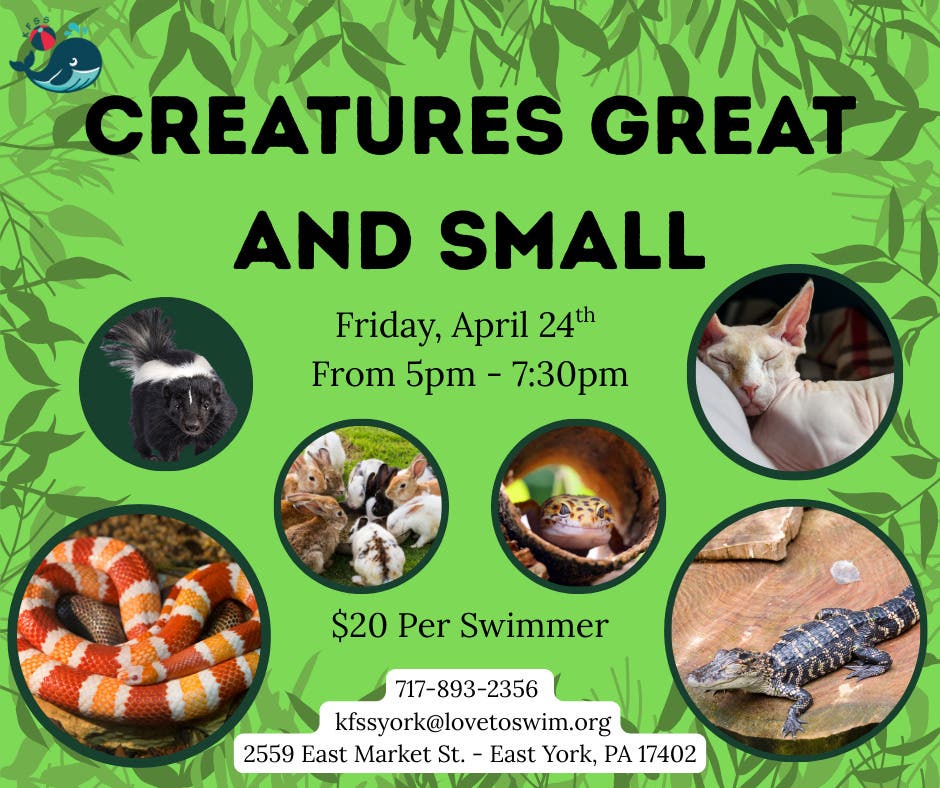 Creatures Great and Small