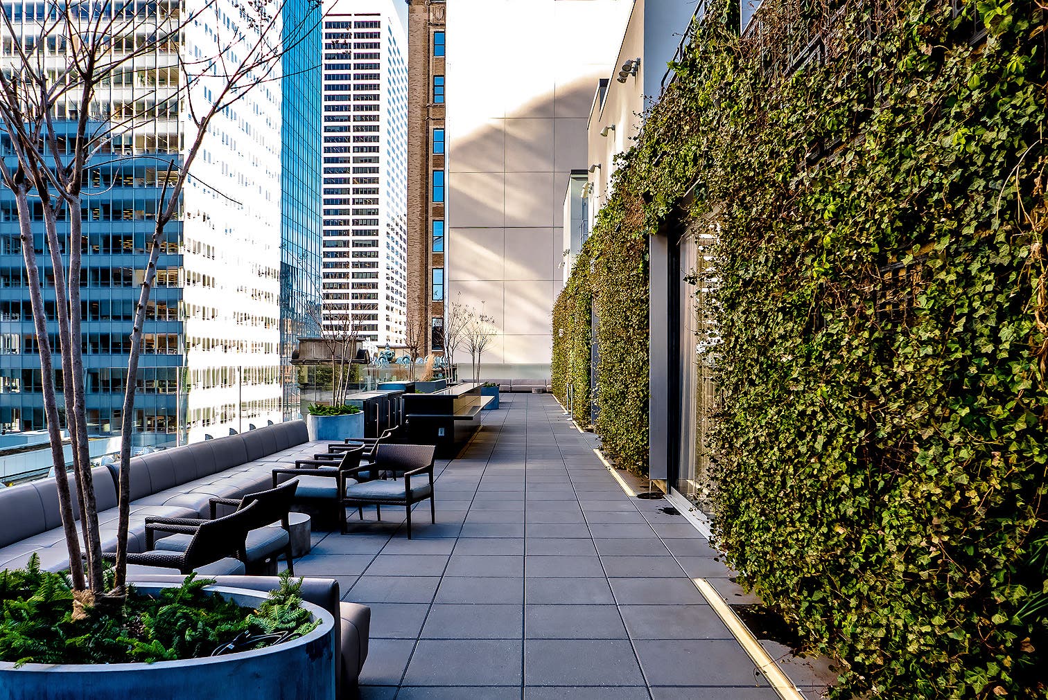 The Knickerbocker's Meet the Artist Evening with Robert Malmberg