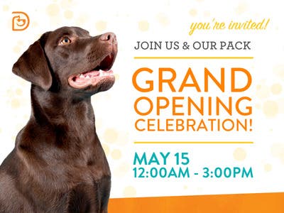 Grand Opening Celebration at Dogtopia of Avon