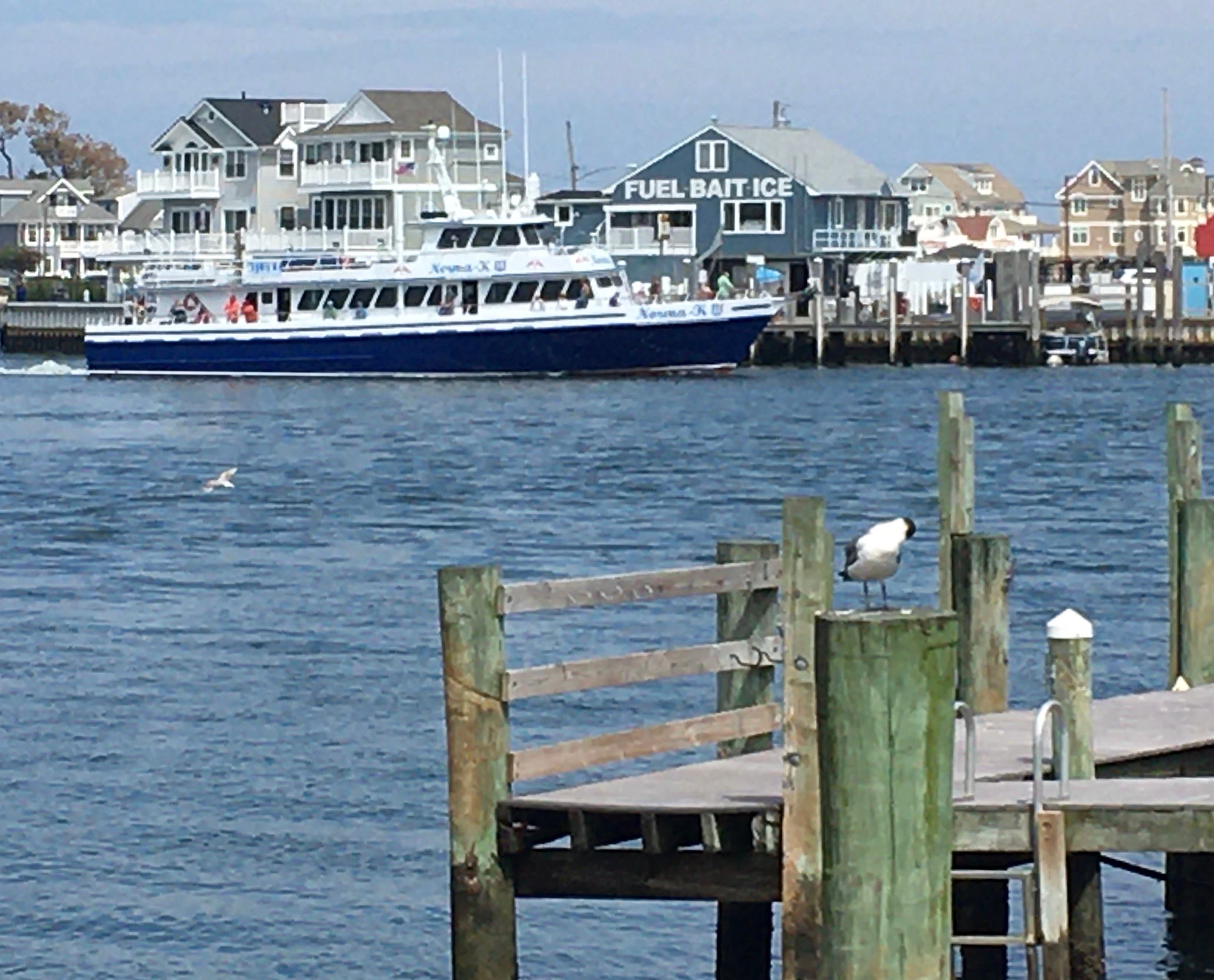 Manasquan River Group of Artists