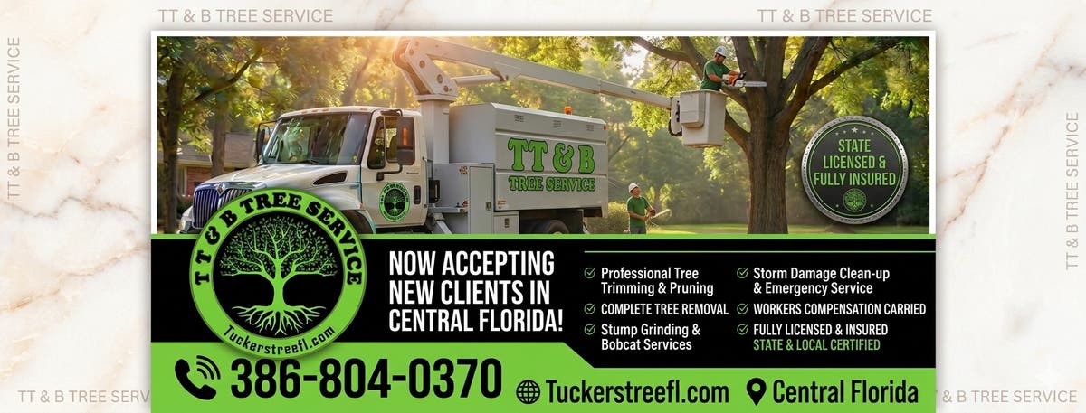 TT&B Tree service