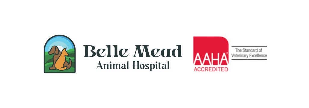 Belle Mead Animal Hospital
