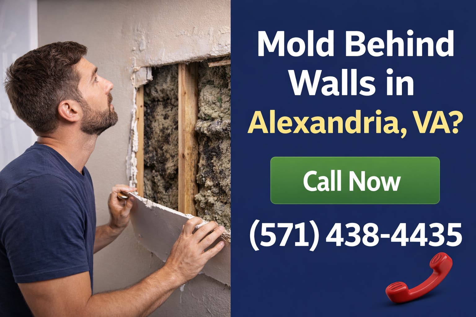 Mold Remediation in Alexandria, VA – Safe Removal & Cleanup