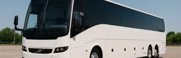 Jackson Party Bus Company