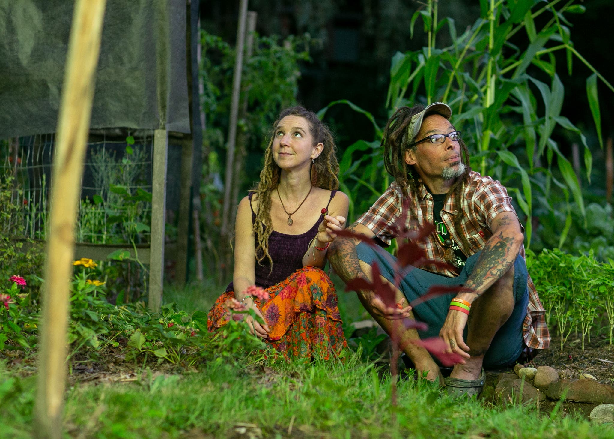 The Art of Raising Your Vibration with HannaH's Field 