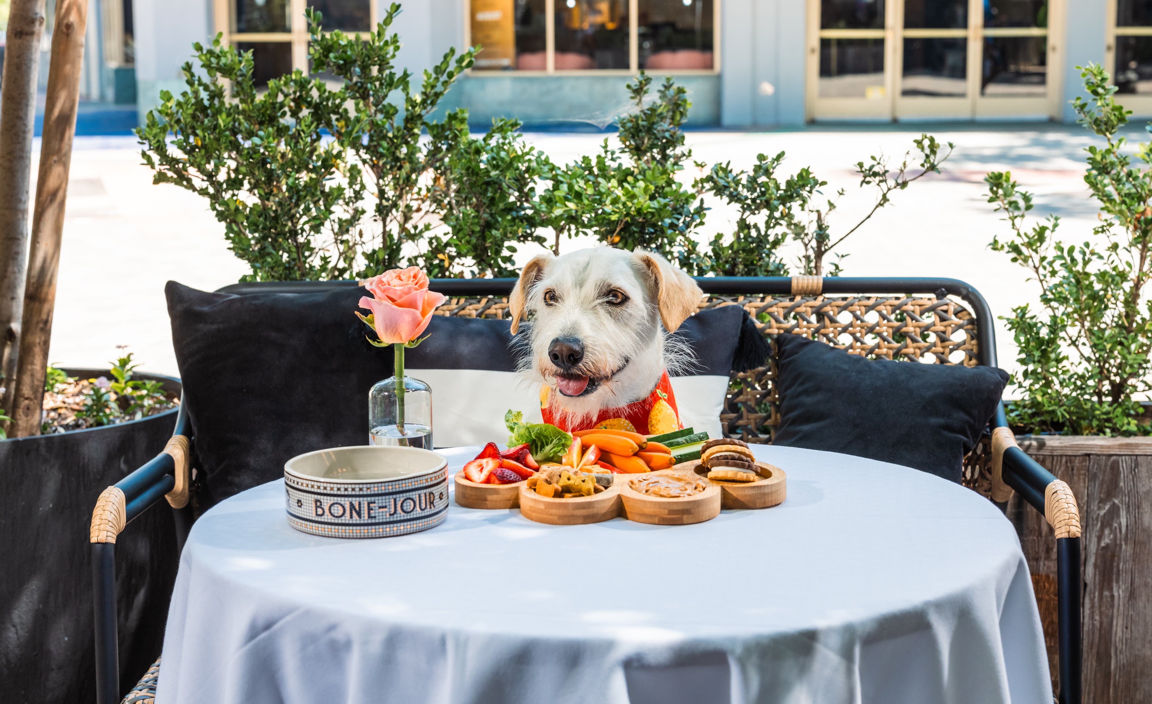Fall Yappy Hour at The Culver Hotel
