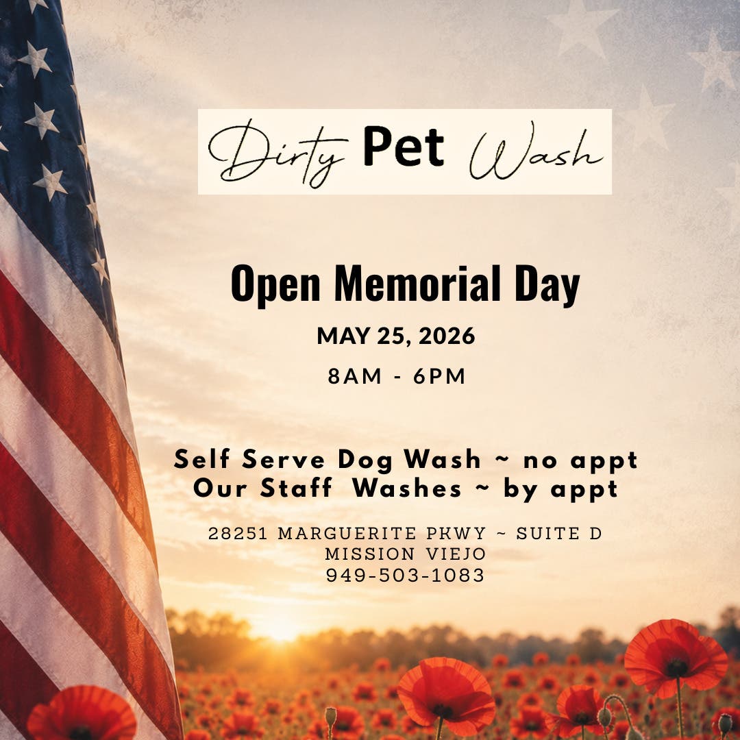 Dirty Pet Wash 🫧 Open Memorial Day