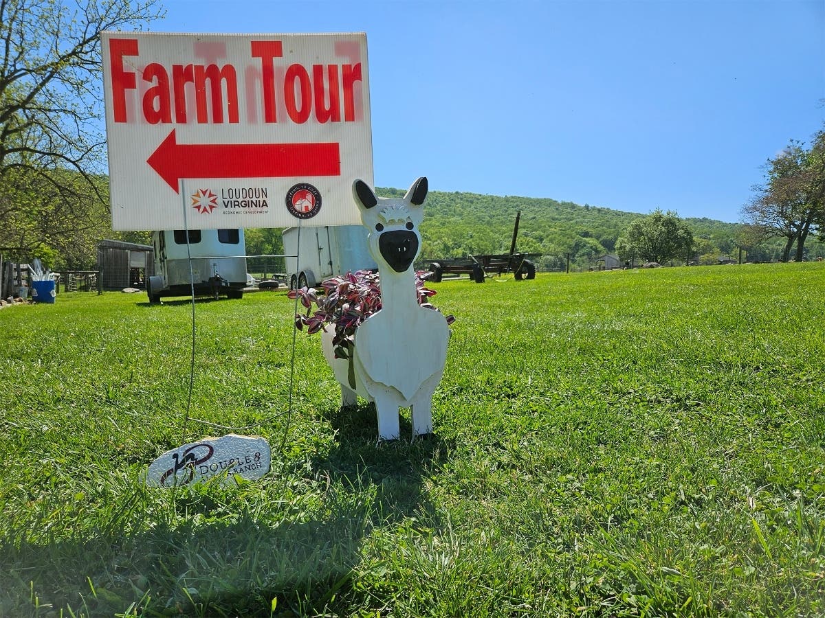 Local Growers Open Their Doors For Loudoun Farm Tour