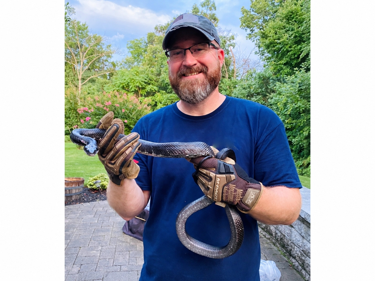 Adder Boy: NoVA Snake Expert Teaches Locals Not To Fear The Creeper