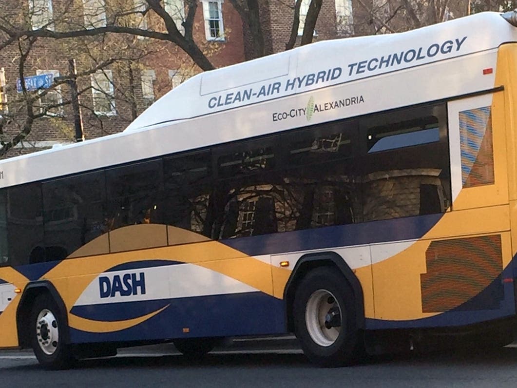 Alexandria's Free Bus Service Facing Major Service Cuts
