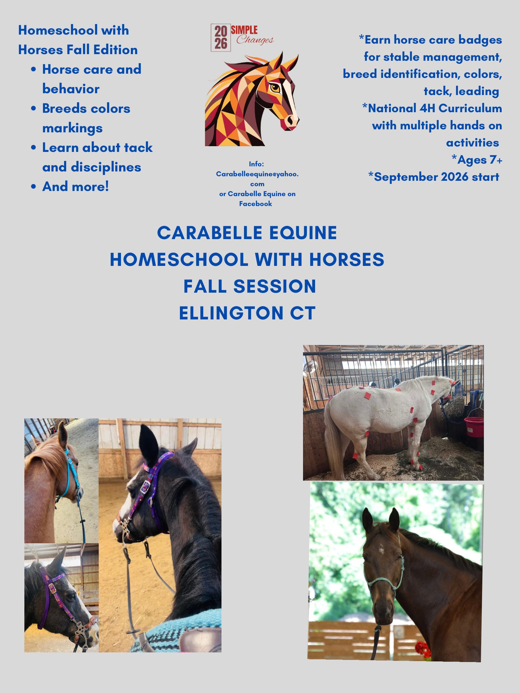 Homeschool with horses