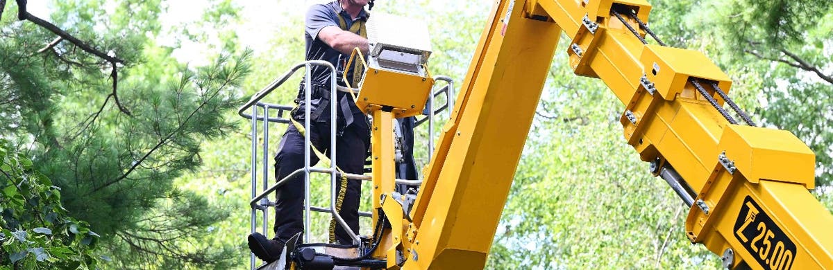 Tree Care Enterprises