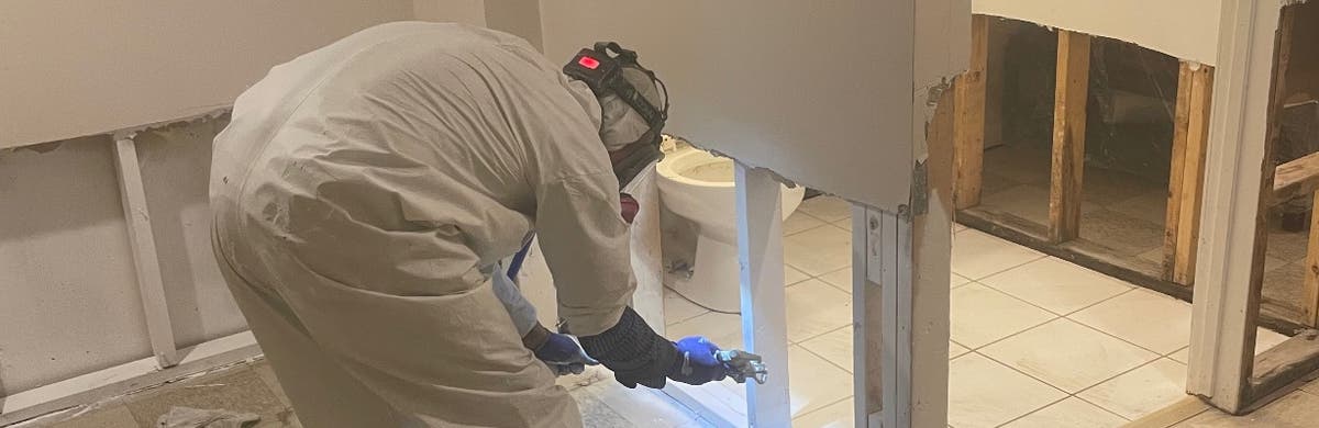 Chicago Mold Remediators