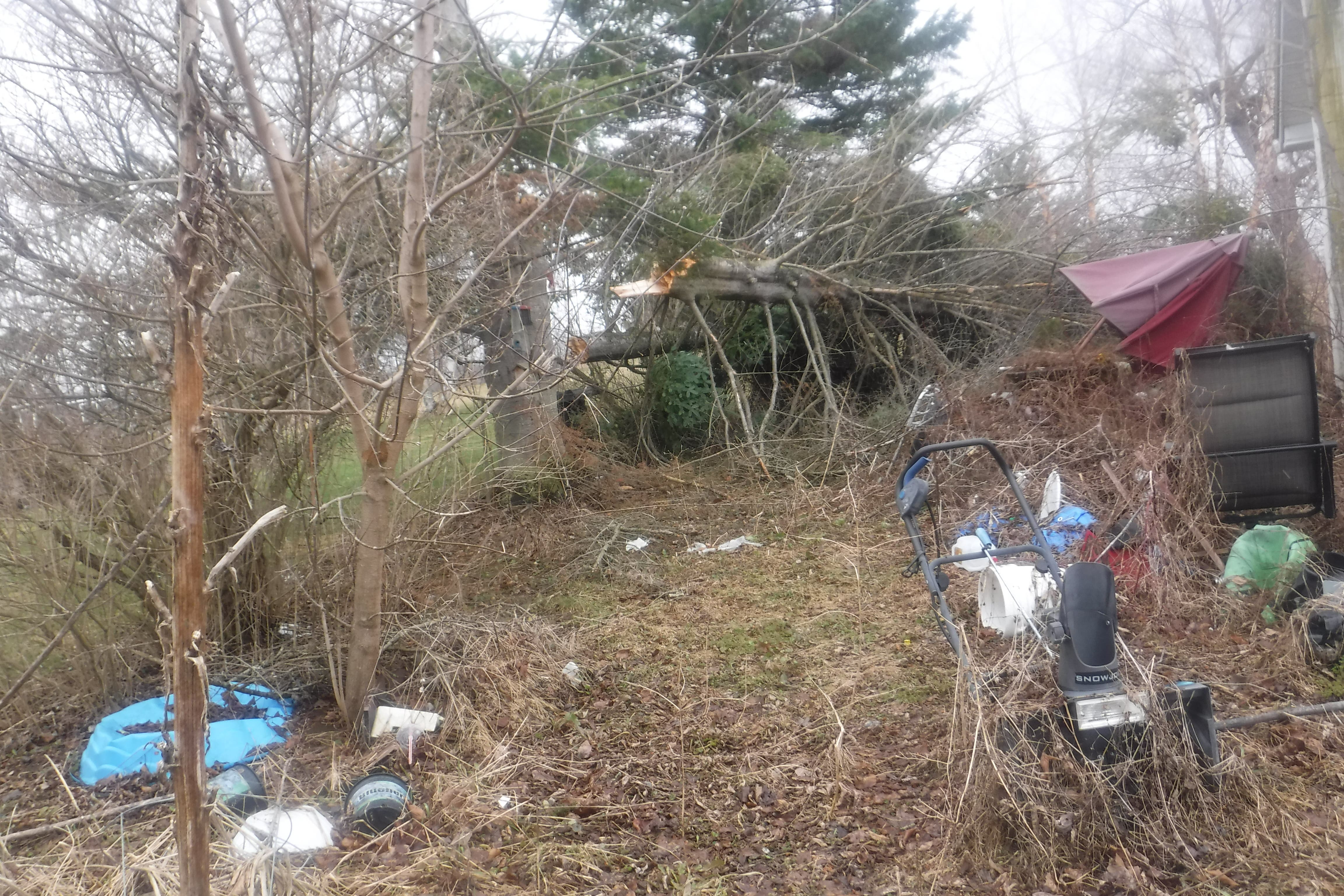 4--5 logs balsom fir lumber