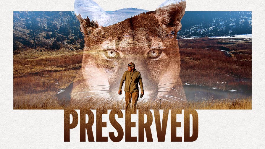 Event: Hopeful film Preserved + Live QA